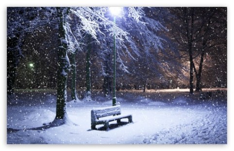 lone_bench_covered_in_snow-t2