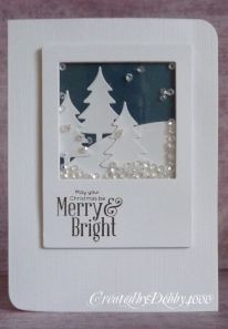polaroid card